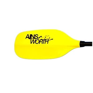 Ainsworth Jr ABS